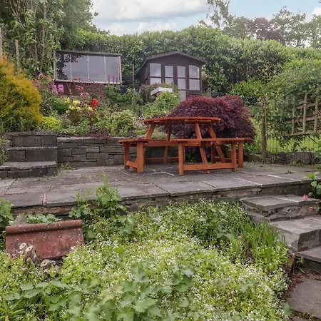 Primrose * 安布尔塞德