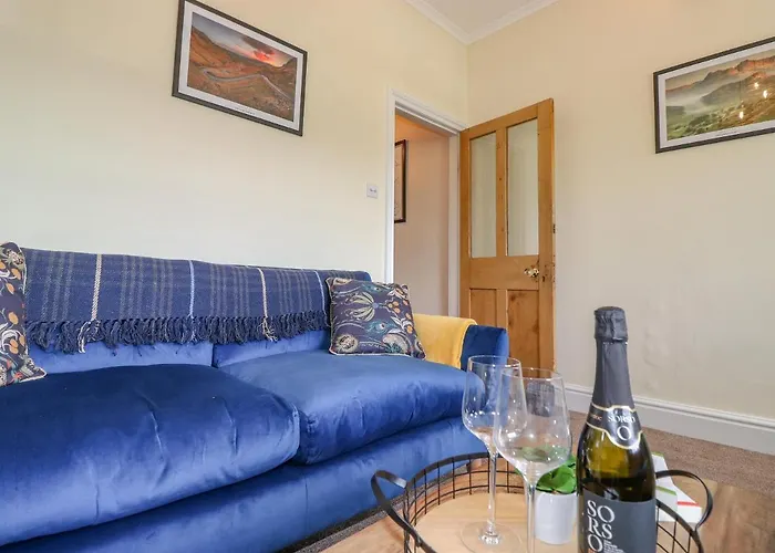 Primrose * 安布尔塞德