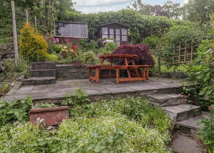 Primrose * 安布尔塞德